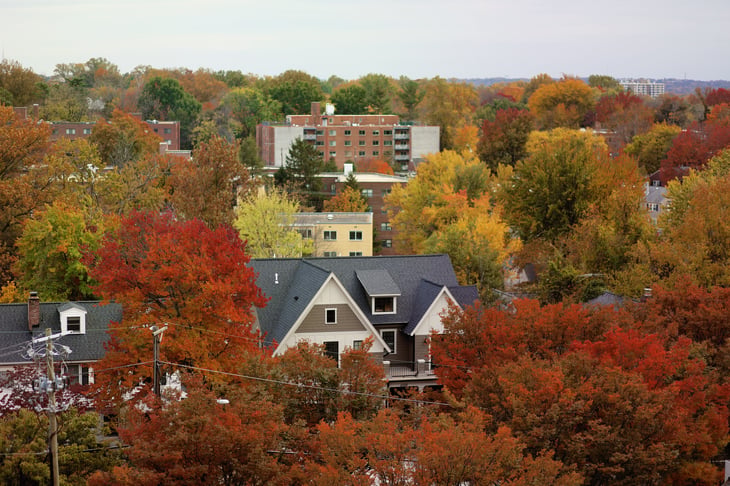 Fall foliage peaks in a neighborhood in Montgomery County.
