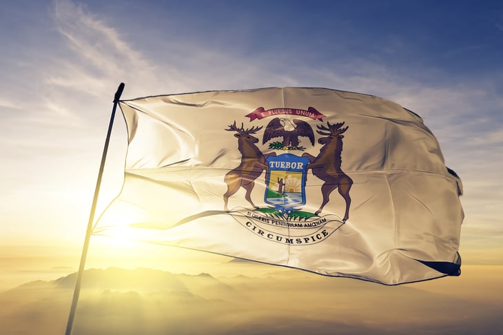 Michigan governor flag