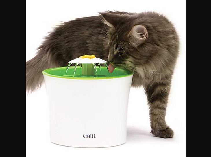 Cat water fountain