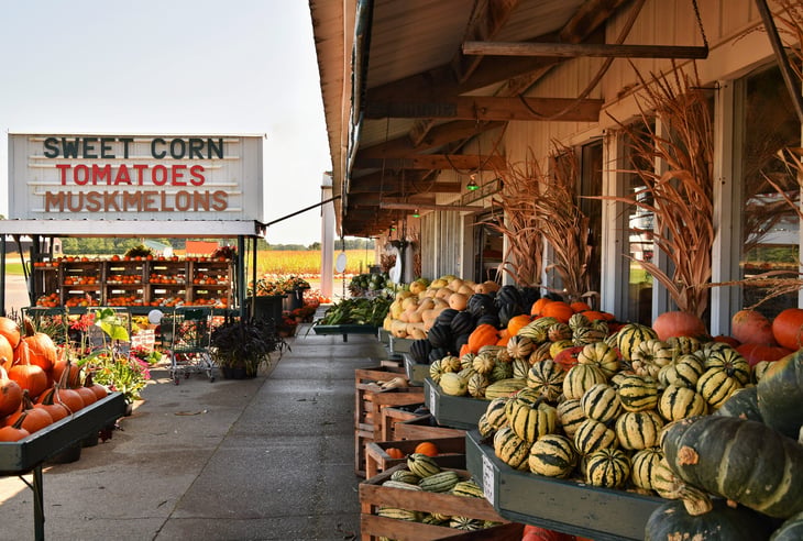 Wisconsin farmers market.
