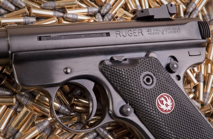 Ruger handgun