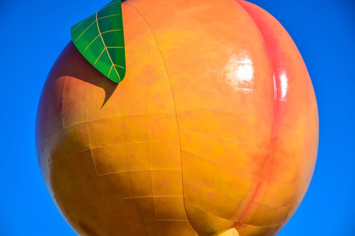 The Peachoid water tower