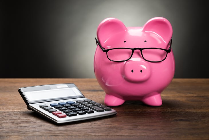 Piggy Bank Glasses