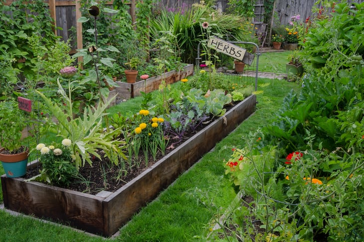 Raised garden beds