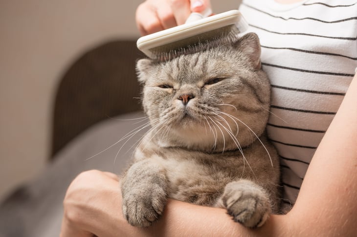 Woman with cat