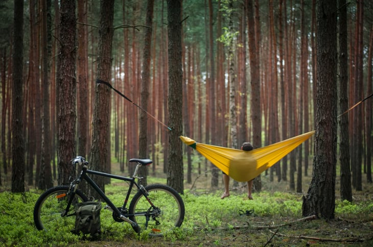 Hammock in woods