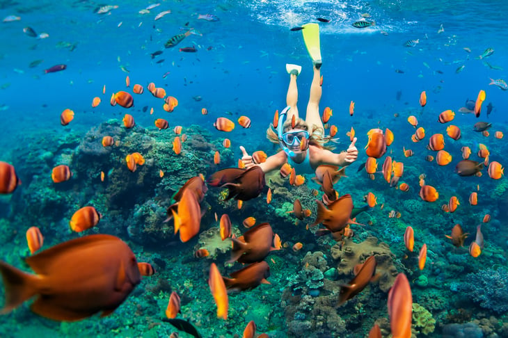 Swimming with tropical fish