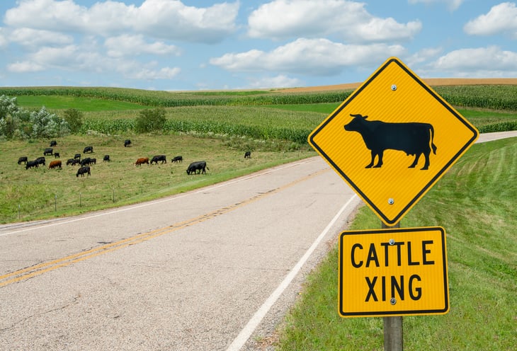 Wisconsin country road with cow crossing sign.