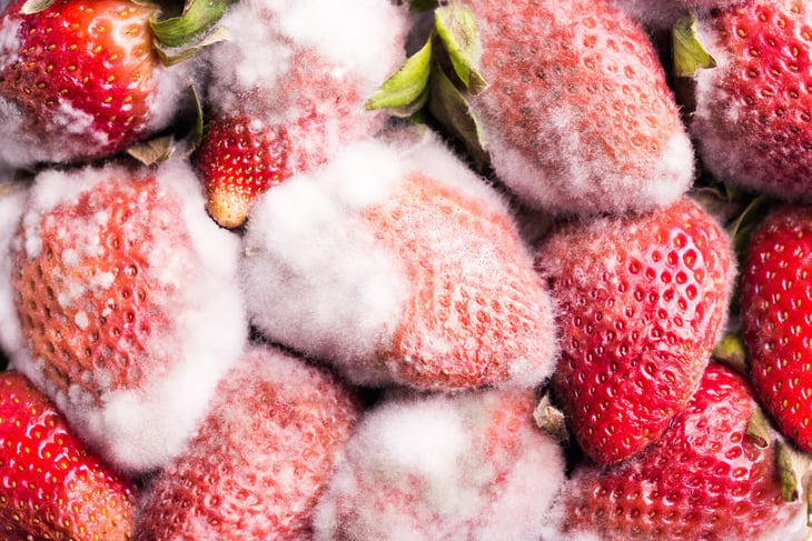 Spoiled produce