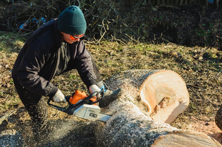 woman chain saw Stihl cutting tree firewood