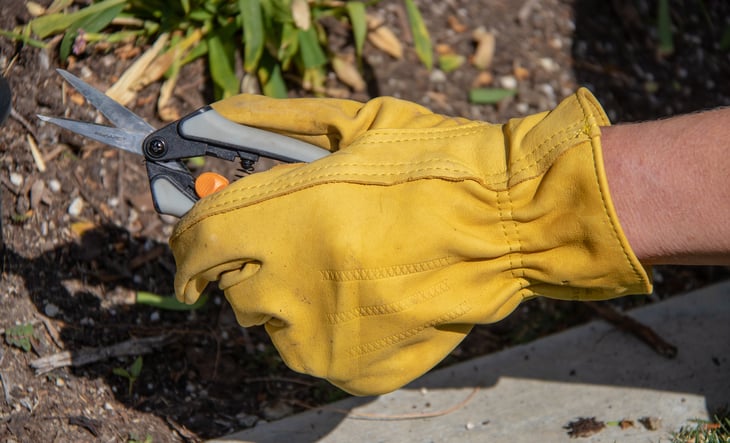 Fiskars snips