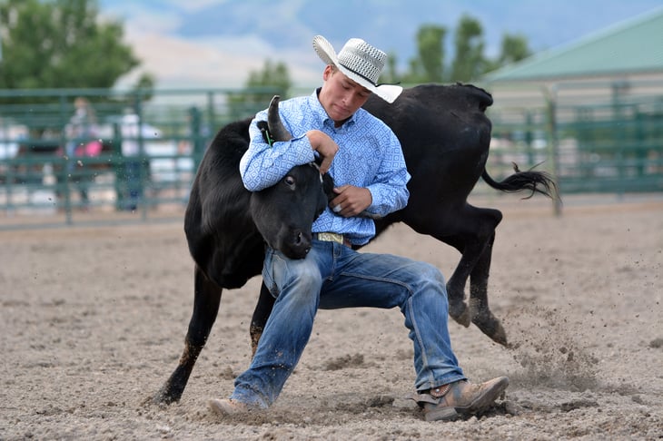 Steer wrestling