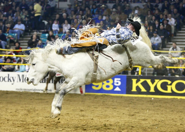 Bareback rider at rodeo