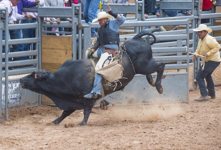 Bullrider