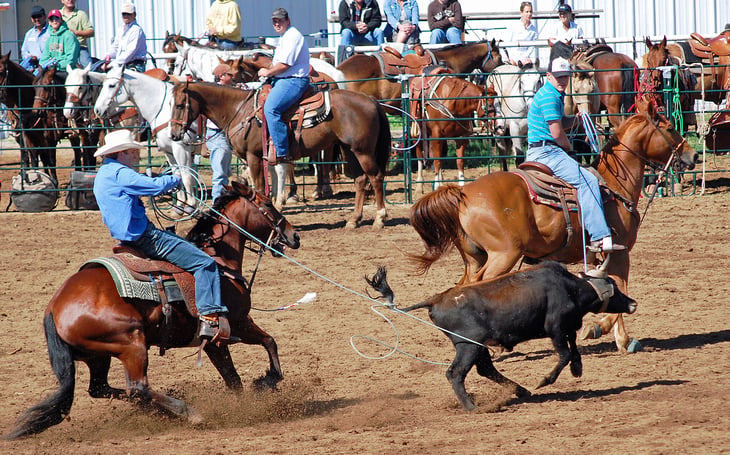 Team roping