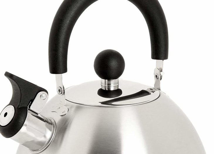 Mr. Coffee Carterton Stainless Steel Whistling Tea Kettle