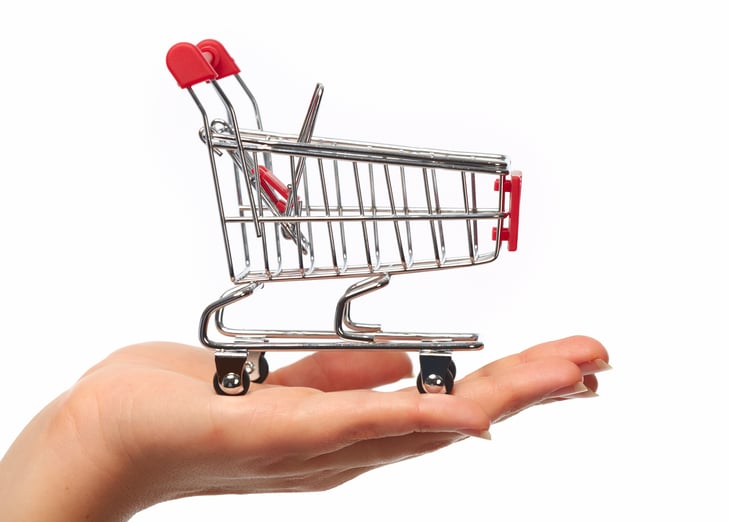 Shopping cart in a person's hand