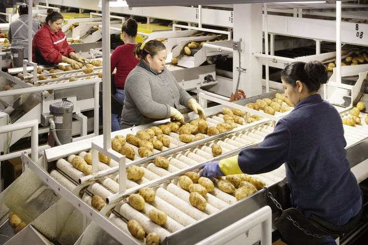 Potato sorters in Idaho