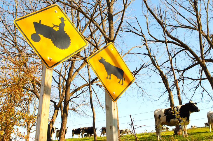 Wisconsin dairy signs