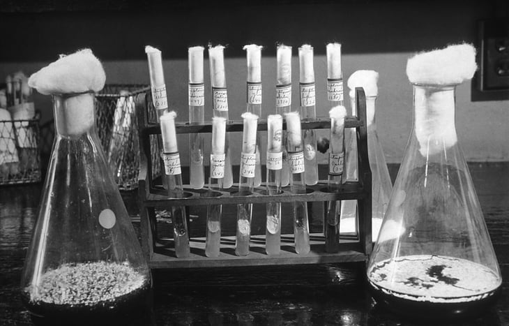 Test tubes in a lab, penicillin