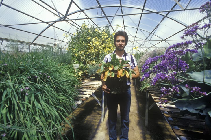 Worker in greenhouse