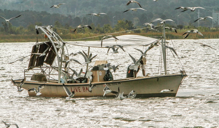 Fisherman off the coast of Alabama