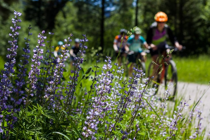 Montana biking