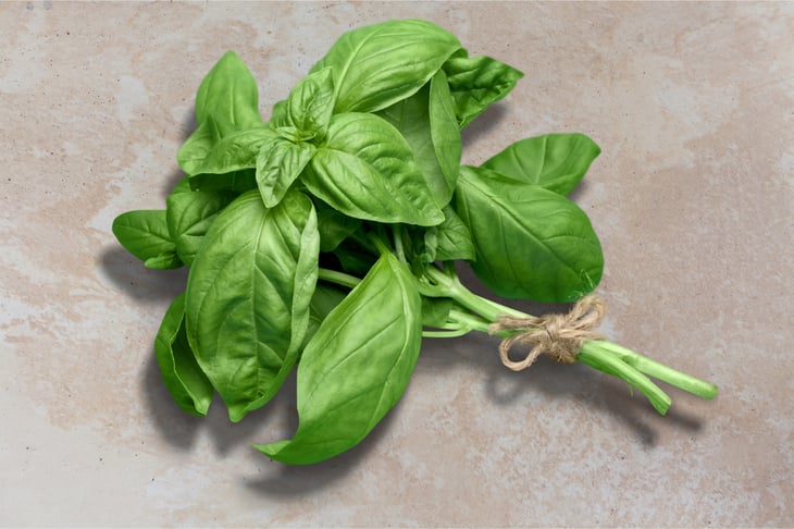 Green basil leaves