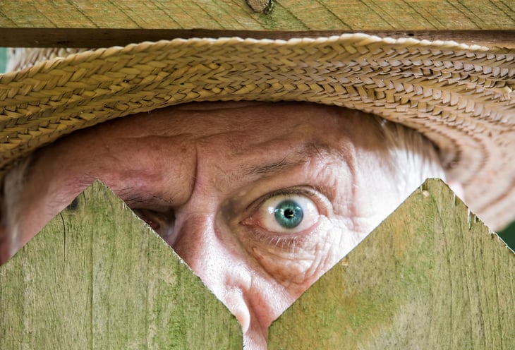 A man peeks over his fence