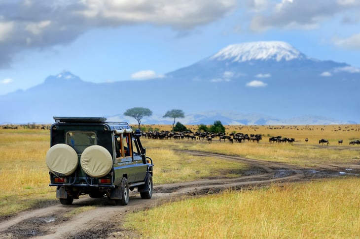Safari in Kenya