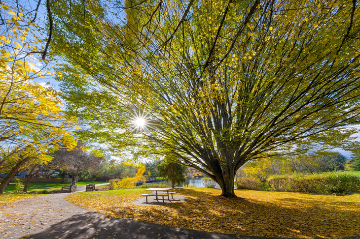 Autumn in Oregon