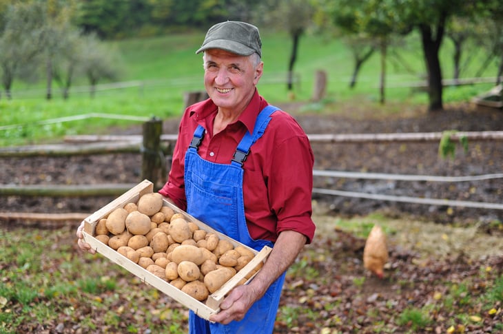 Potato farmer