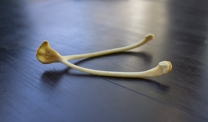 Wishbone