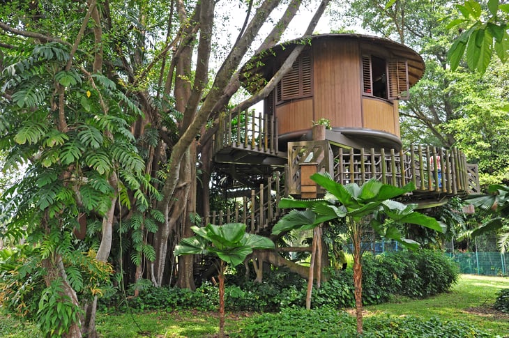 Treehouse