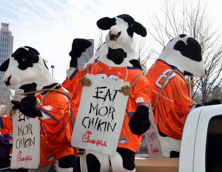 Chick-fil-A cow