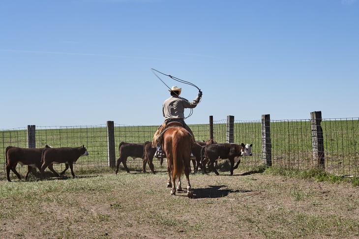 Kansas rancher