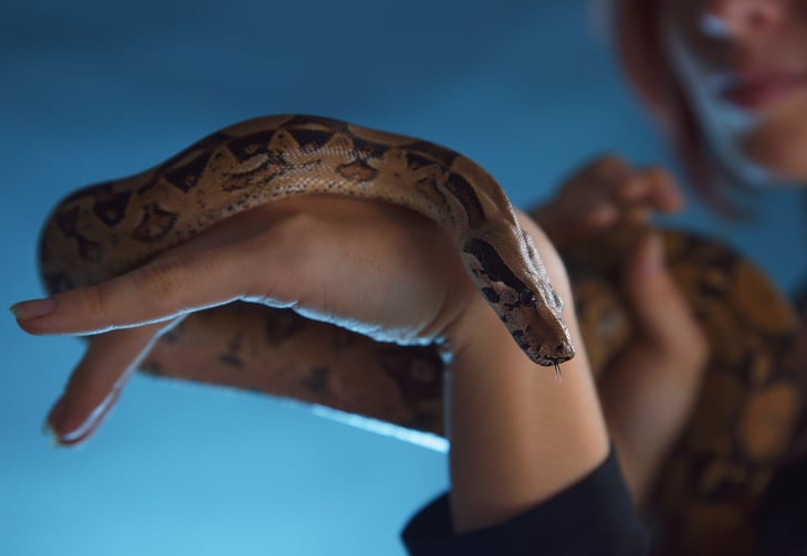 A woman holds a snake