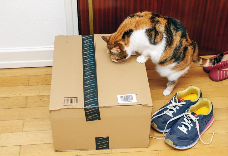 Amazon package