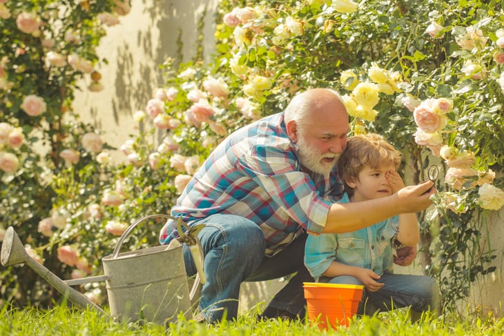 Grandfather retirement retiree child man boy sunny garden roses. Retirement planning