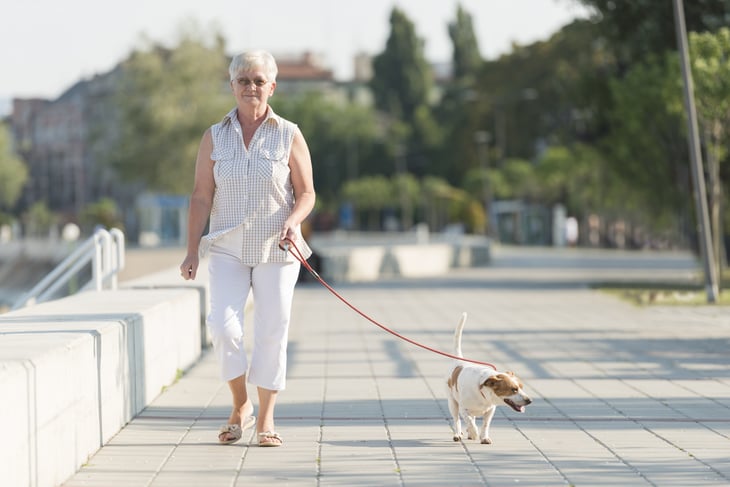 an old woman walking a dog