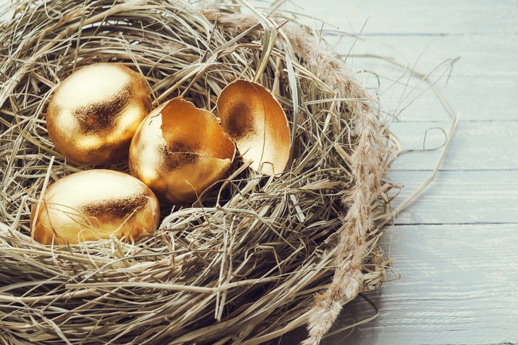 A golden nest egg representing 401k