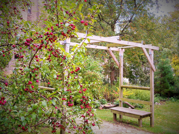 garden trellis