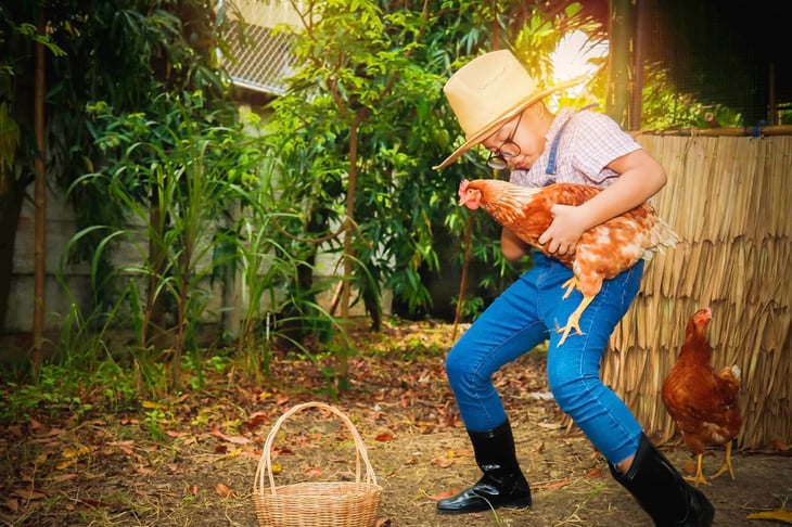 boy raising chickens at home