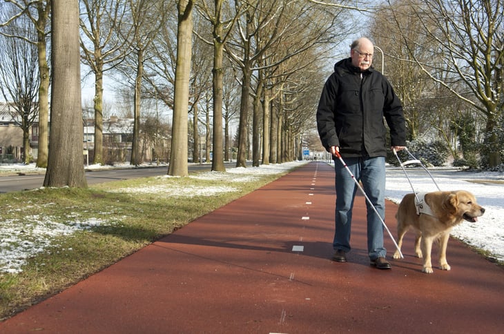 Senior with a guide dog or service animal