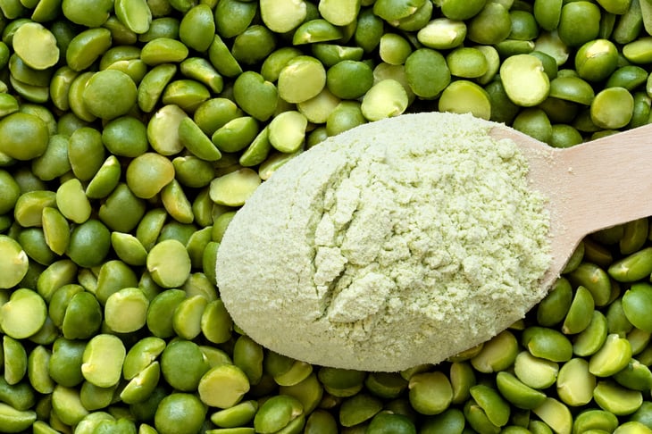 Pea protein powder
