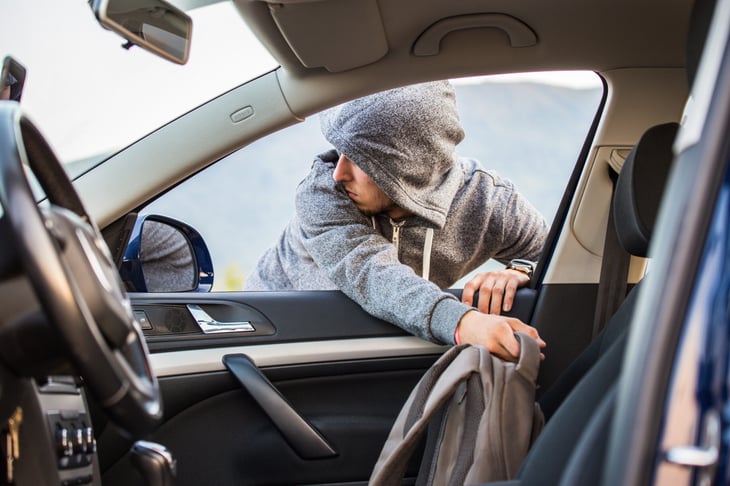 Car thief