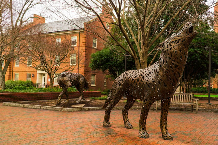 North Carolina State University