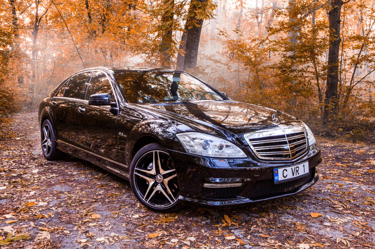 Mercedes Benz S Class in autumn
