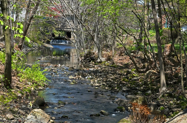Wolf Creek in Bergen, New Jersey