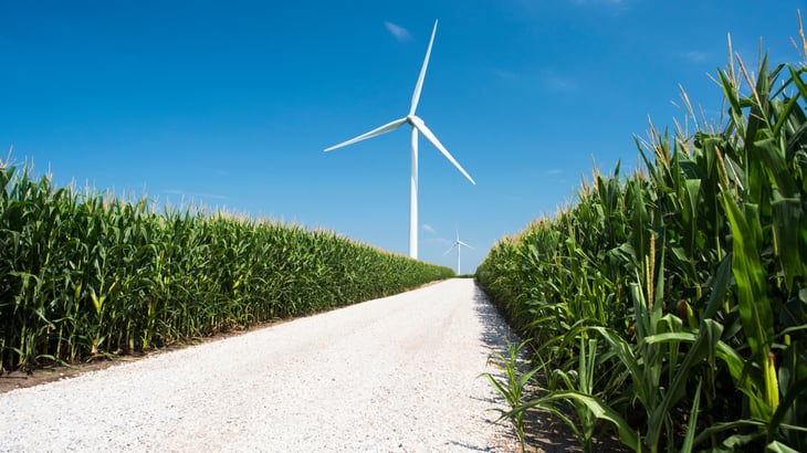 A wind turbine on a wind farm in Iowa among corn fields